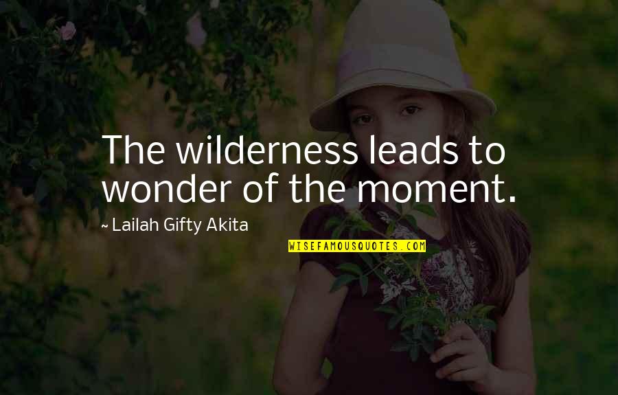 Wilderness Wisdom Quotes By Lailah Gifty Akita: The wilderness leads to wonder of the moment.