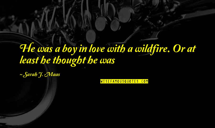 Wildfire Quotes By Sarah J. Maas: He was a boy in love with a