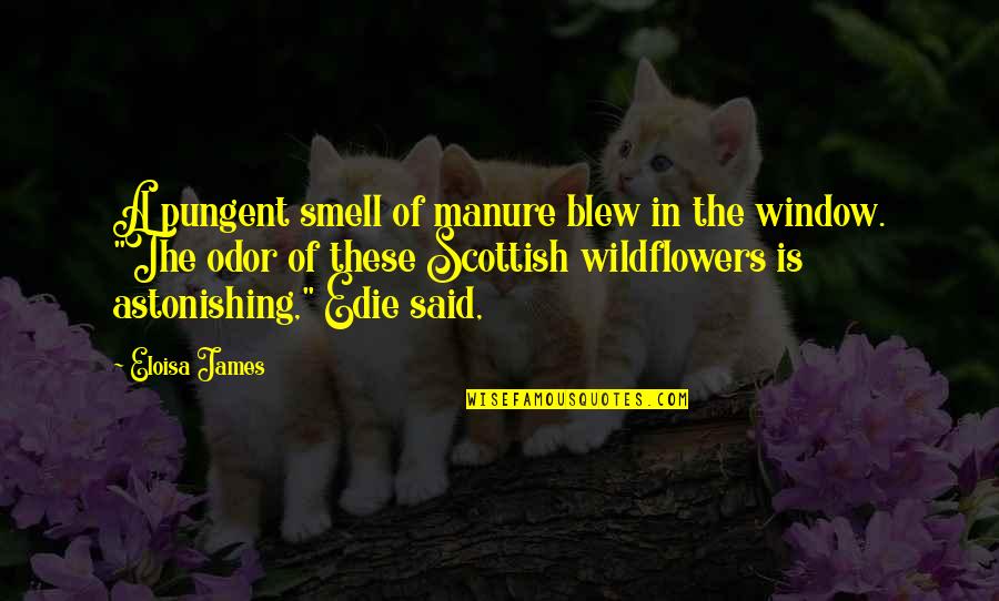 Wildflowers Quotes By Eloisa James: A pungent smell of manure blew in the