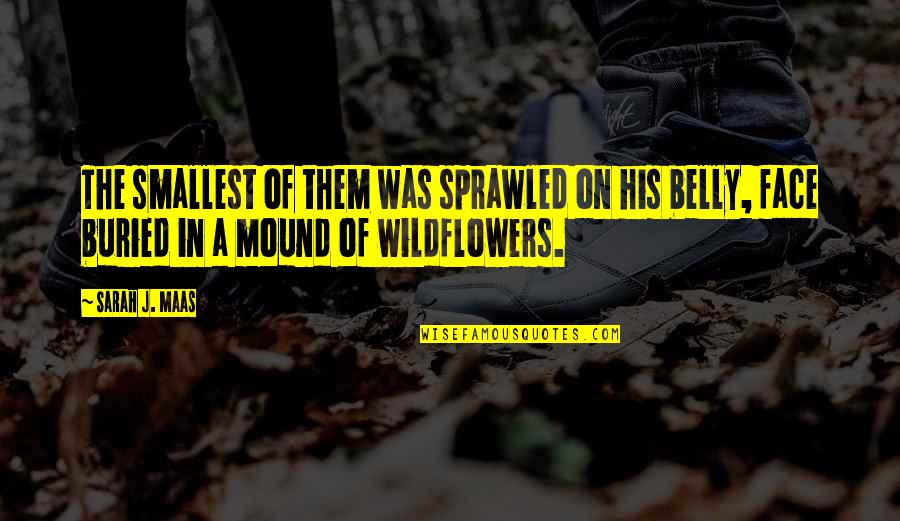 Wildflowers Quotes By Sarah J. Maas: The smallest of them was sprawled on his Wildflowers Quotes By Sarah J. Maas: The smallest of them was sprawled on his