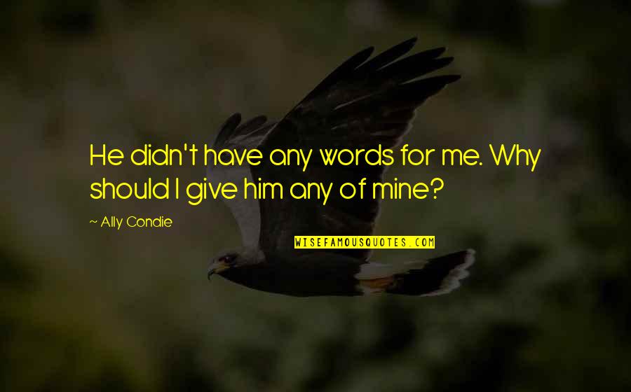 Wildhearted Quotes By Ally Condie: He didn't have any words for me. Why