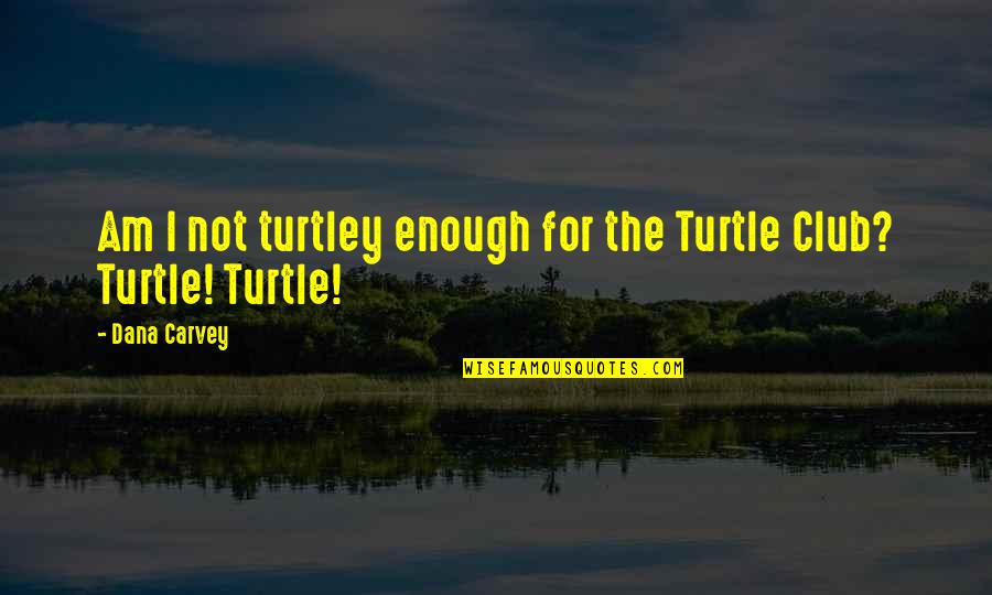 Wildlife Extinction Quotes By Dana Carvey: Am I not turtley enough for the Turtle