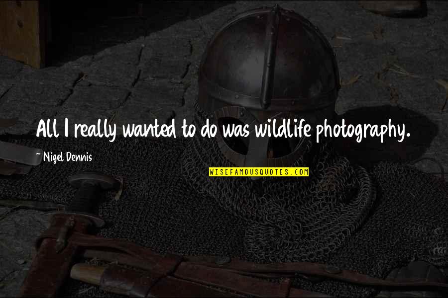 Wildlife Photography Quotes By Nigel Dennis: All I really wanted to do was wildlife