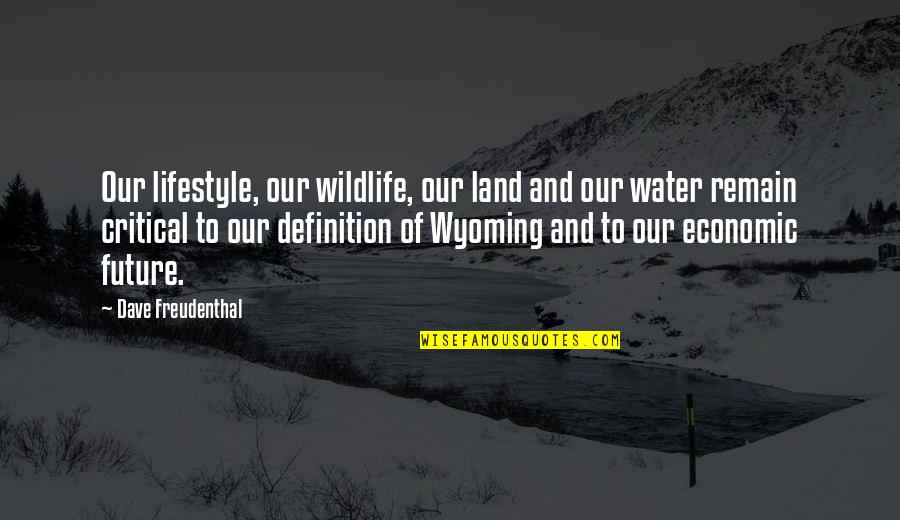 Wildlife Quotes By Dave Freudenthal: Our lifestyle, our wildlife, our land and our