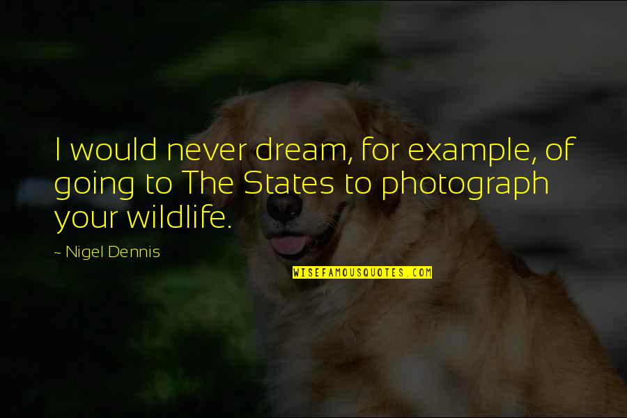 Wildlife Quotes By Nigel Dennis: I would never dream, for example, of going