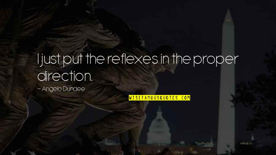 Wildmon Construction Quotes By Angelo Dundee: I just put the reflexes in the proper