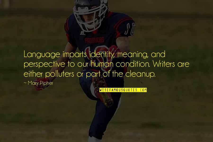 Wildstar Aurin Quotes By Mary Pipher: Language imparts identity, meaning, and perspective to our Wildstar Aurin Quotes By Mary Pipher: Language imparts identity, meaning, and perspective to our