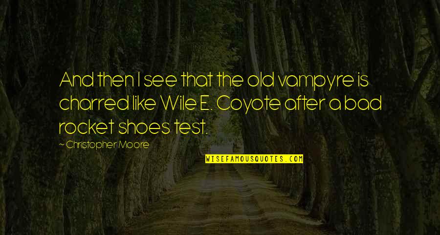 Wile E Coyote Quotes By Christopher Moore: And then I see that the old vampyre