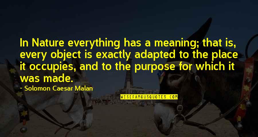 Wilemans Quotes By Solomon Caesar Malan: In Nature everything has a meaning; that is,