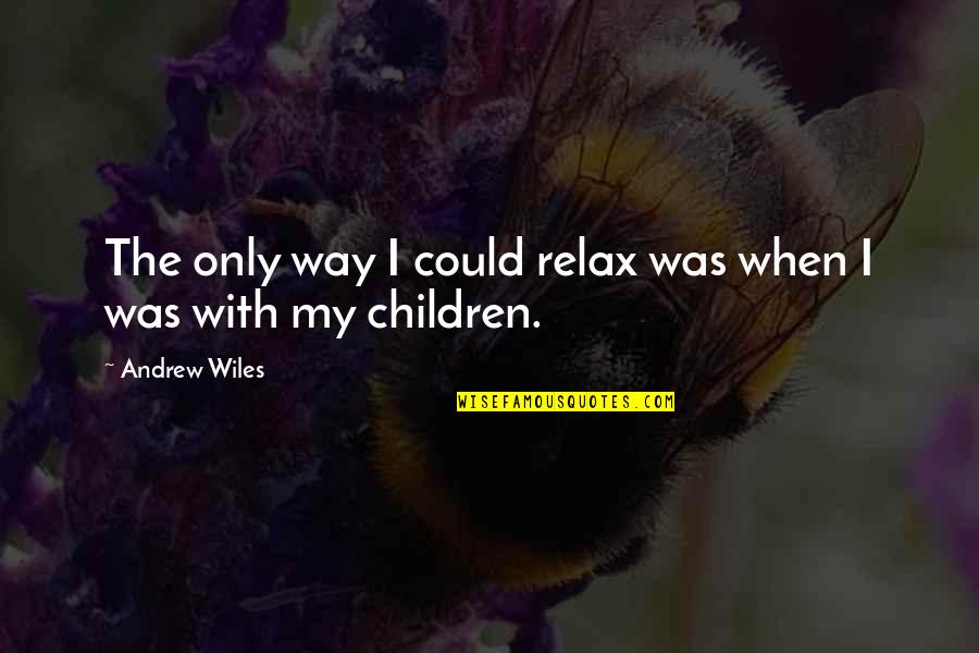 Wiles Quotes By Andrew Wiles: The only way I could relax was when