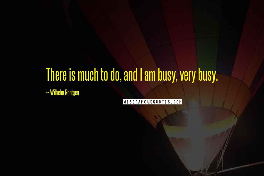 Wilhelm Rontgen quotes: There is much to do, and I am busy, very busy.