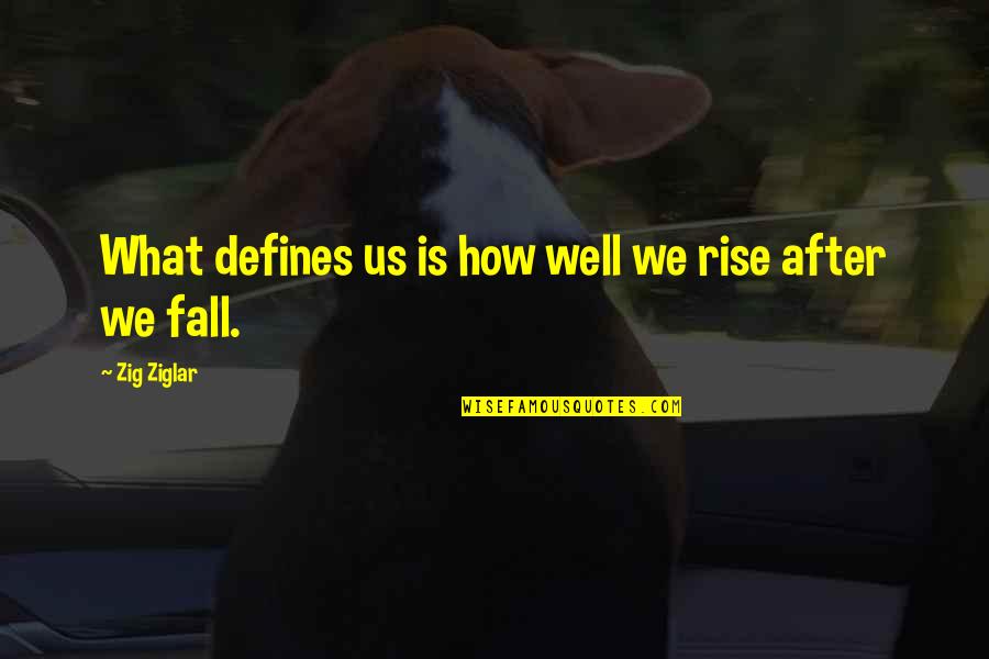 Wilhelma Velasco Quotes By Zig Ziglar: What defines us is how well we rise