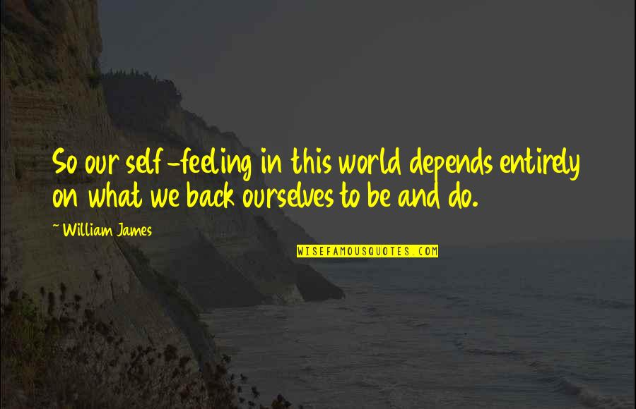 Wilhelmina Slater Quotes By William James: So our self-feeling in this world depends entirely Wilhelmina Slater Quotes By William James: So our self-feeling in this world depends entirely
