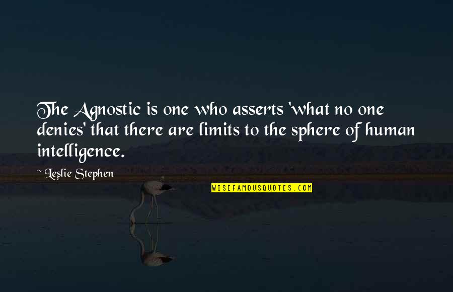 Wilhoite Roofing Quotes By Leslie Stephen: The Agnostic is one who asserts 'what no