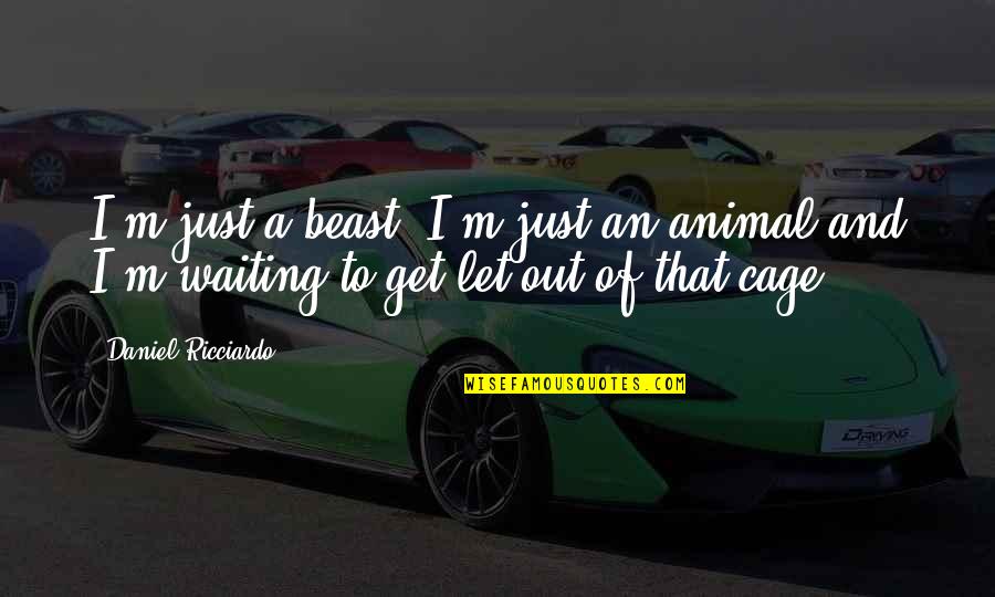 Wilinski Montreal Quotes By Daniel Ricciardo: I'm just a beast, I'm just an animal