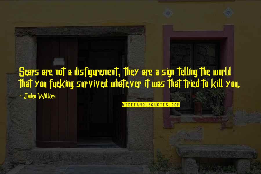 Wilkes Quotes By Jaden Wilkes: Scars are not a disfigurement, they are a Wilkes Quotes By Jaden Wilkes: Scars are not a disfigurement, they are a