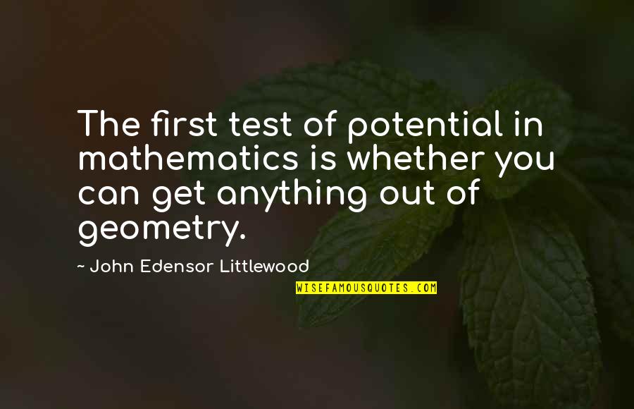 Will And Lou Quotes By John Edensor Littlewood: The first test of potential in mathematics is Will And Lou Quotes By John Edensor Littlewood: The first test of potential in mathematics is