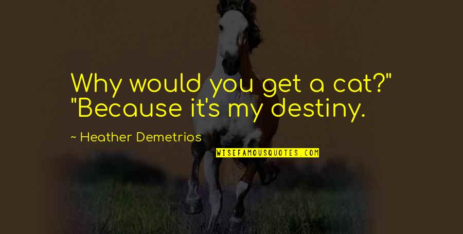 Will And Stella Quotes By Heather Demetrios: Why would you get a cat?" "Because it's Will And Stella Quotes By Heather Demetrios: Why would you get a cat?" "Because it's