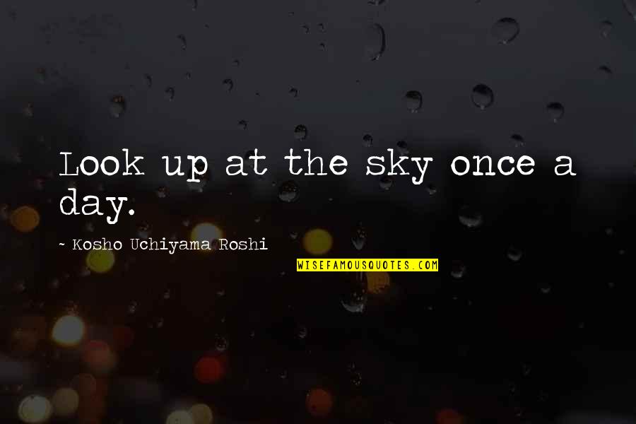 Will Ferrell Streaking Quotes By Kosho Uchiyama Roshi: Look up at the sky once a day.