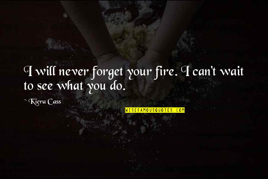 Will Forget You Quotes By Kiera Cass: I will never forget your fire. I can't
