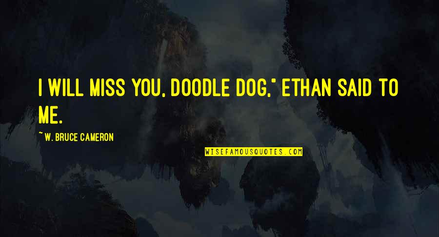 Will Miss Quotes By W. Bruce Cameron: I will miss you, doodle dog," Ethan said