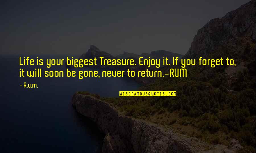 Will Never Forget Quotes By R.v.m.: Life is your biggest Treasure. Enjoy it. If