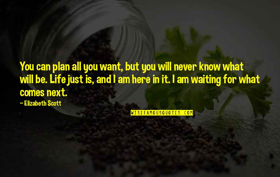 Will Never Know Quotes By Elizabeth Scott: You can plan all you want, but you Will Never Know Quotes By Elizabeth Scott: You can plan all you want, but you