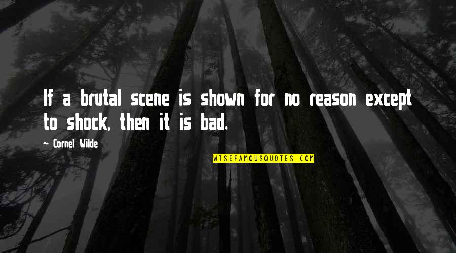 Will Oldham Quotes By Cornel Wilde: If a brutal scene is shown for no