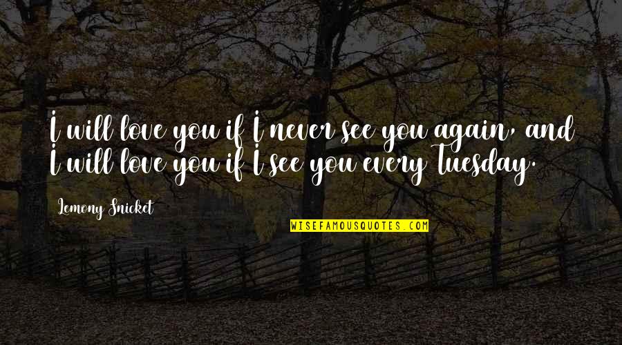Will See You Again Quotes By Lemony Snicket: I will love you if I never see