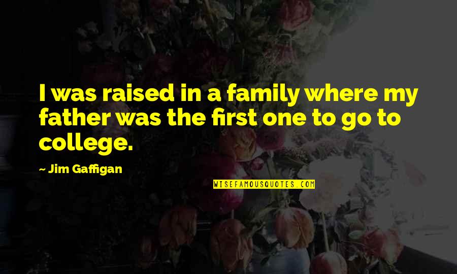 Will Steger Quotes By Jim Gaffigan: I was raised in a family where my