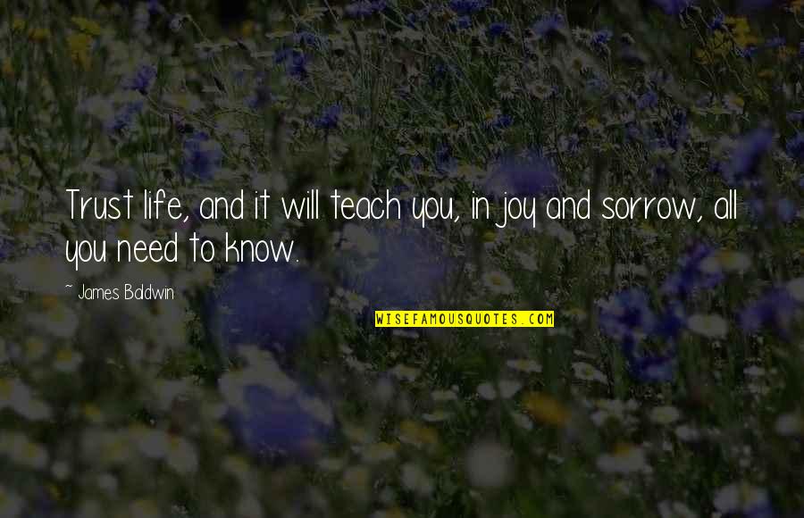 Will Trust Quotes By James Baldwin: Trust life, and it will teach you, in