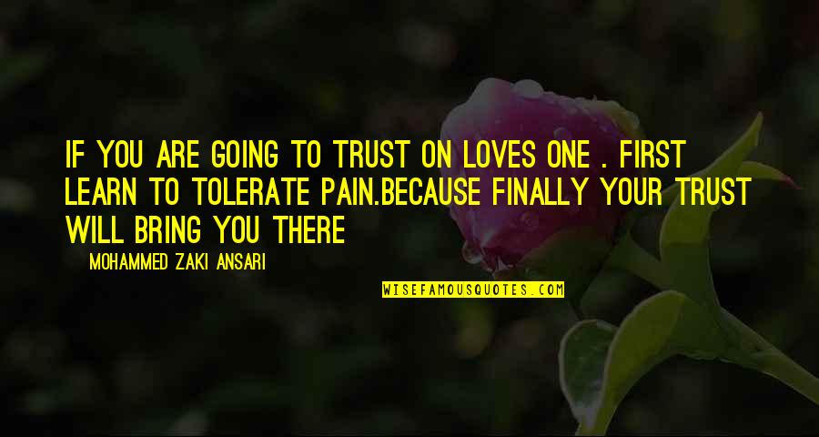 Will Trust Quotes By Mohammed Zaki Ansari: If you are going to trust on loves