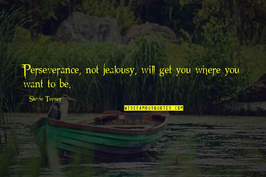 Will Turner Quotes By Stevie Turner: Perseverance, not jealousy, will get you where you Will Turner Quotes By Stevie Turner: Perseverance, not jealousy, will get you where you