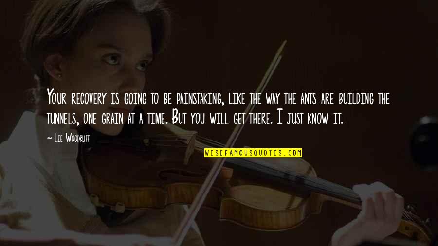 Will You Be There Quotes By Lee Woodruff: Your recovery is going to be painstaking, like Will You Be There Quotes By Lee Woodruff: Your recovery is going to be painstaking, like