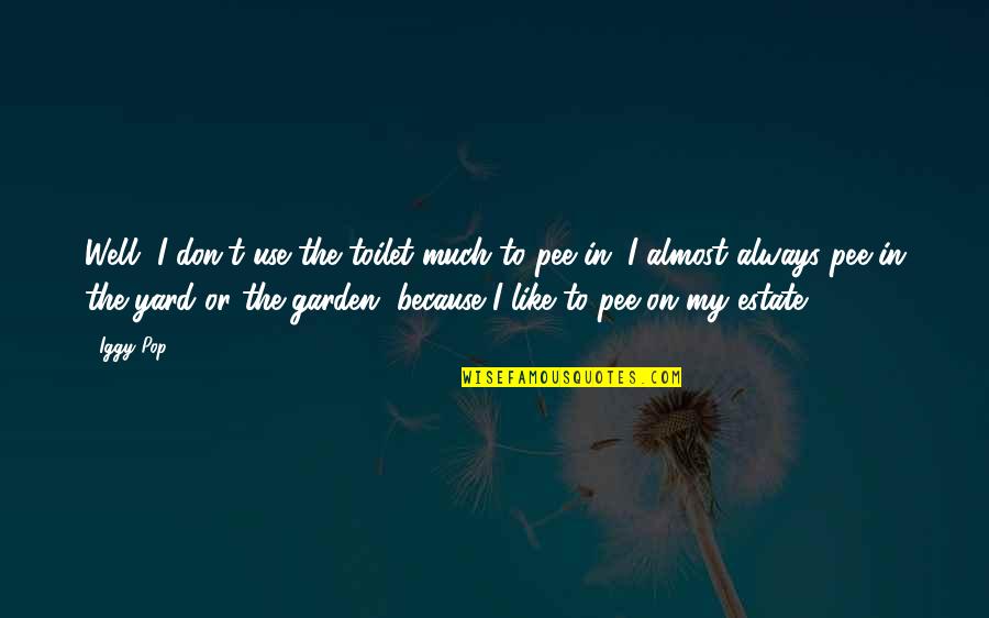 Will You Be There To Catch Me When I Fall Quotes By Iggy Pop: Well, I don't use the toilet much to