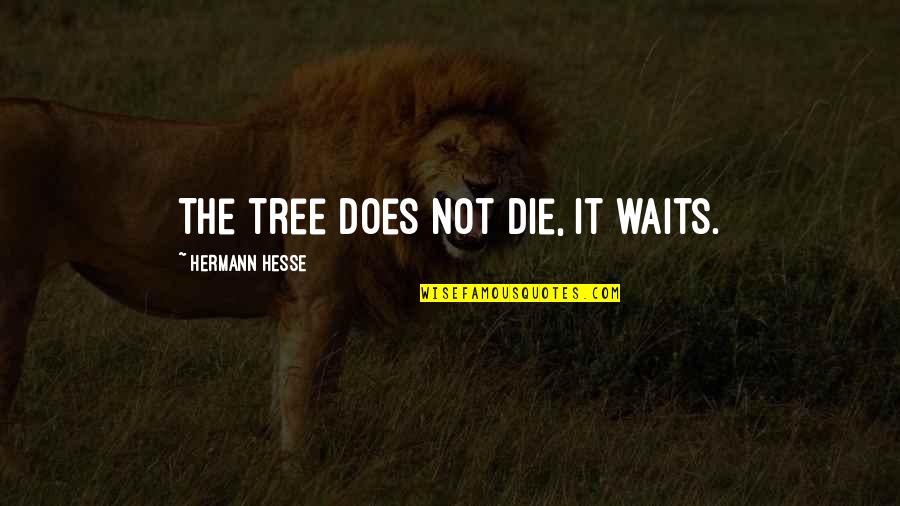 Will You Miss Me When I'm Dead Quotes By Hermann Hesse: The tree does not die, it waits.