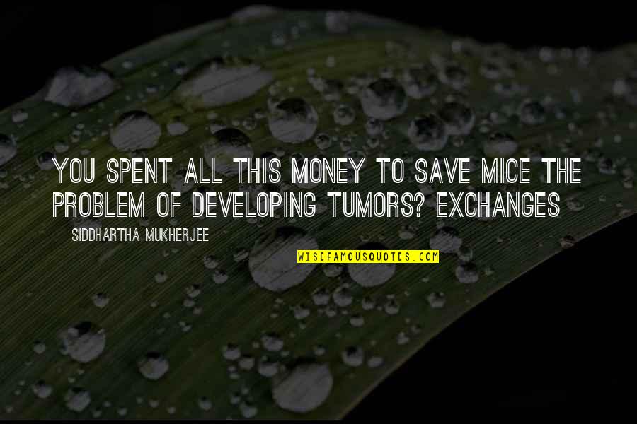 Willeford Pick Up Quotes By Siddhartha Mukherjee: You spent all this money to save mice Willeford Pick Up Quotes By Siddhartha Mukherjee: You spent all this money to save mice