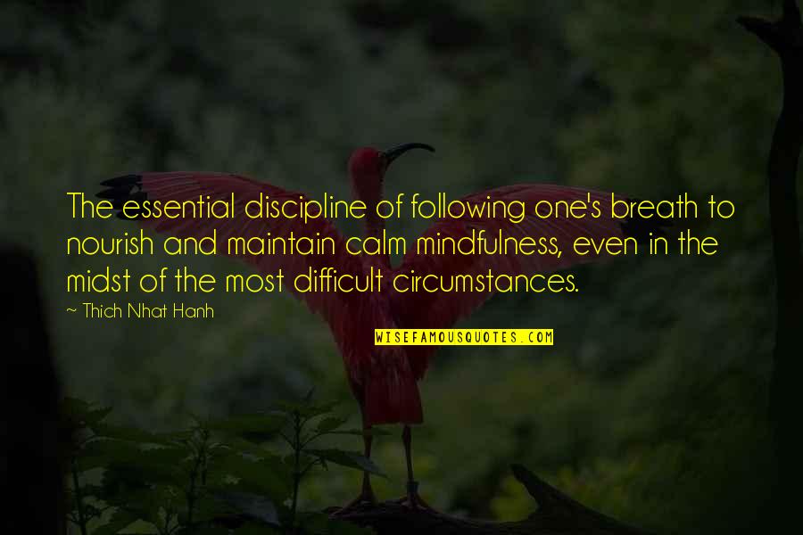 Willeford Quotes By Thich Nhat Hanh: The essential discipline of following one's breath to