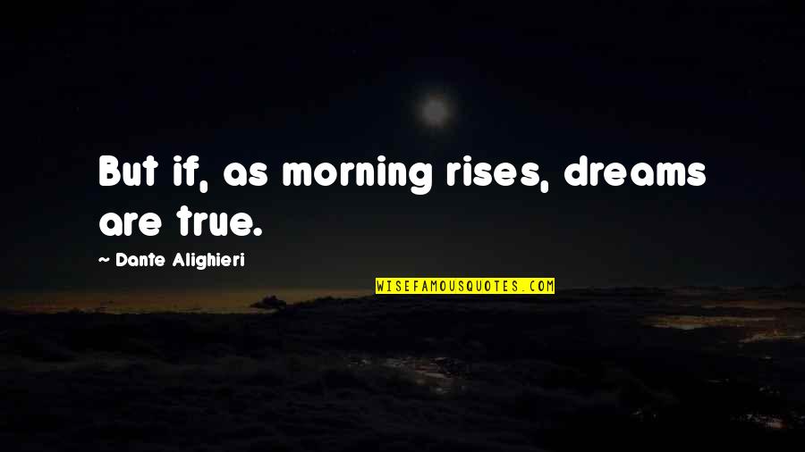 Willem Holleeder Quotes By Dante Alighieri: But if, as morning rises, dreams are true.