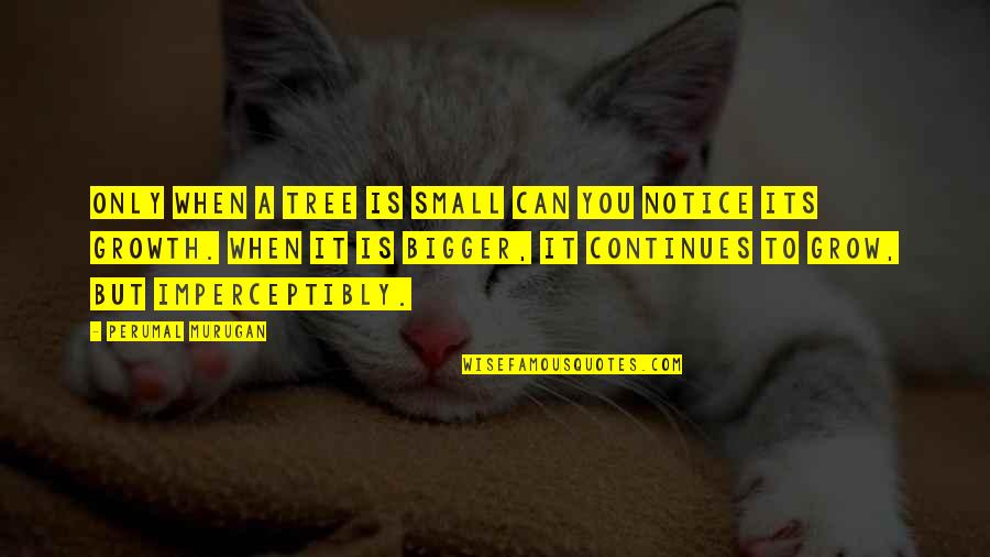 Willeme Cabover Quotes By Perumal Murugan: Only when a tree is small can you Willeme Cabover Quotes By Perumal Murugan: Only when a tree is small can you