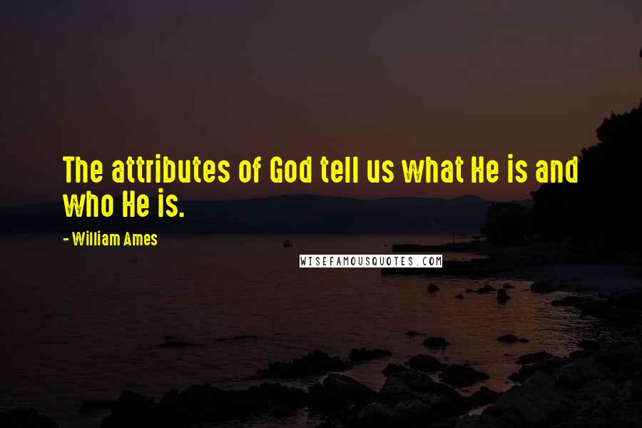 William Ames quotes: The attributes of God tell us what He is and who He is.