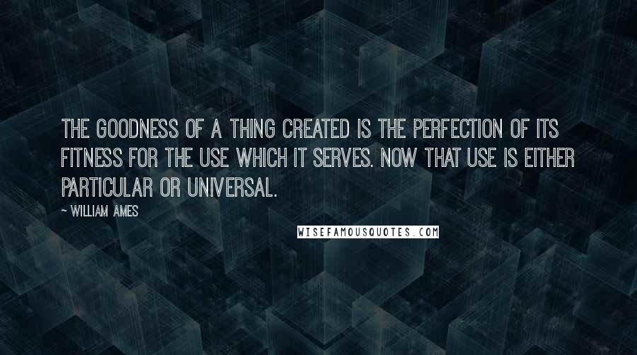 William Ames quotes: The goodness of a thing created is the perfection of its fitness for the use which it serves. Now that use is either particular or universal. William Ames quotes: The goodness of a thing created is the perfection of its fitness for the use which it serves. Now that use is either particular or universal.