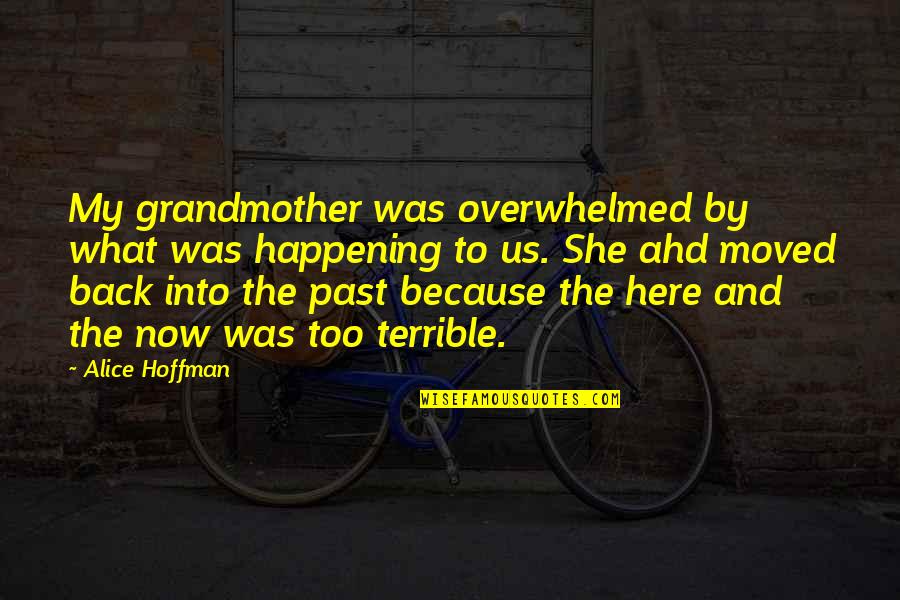 William And Mary Quotes By Alice Hoffman: My grandmother was overwhelmed by what was happening