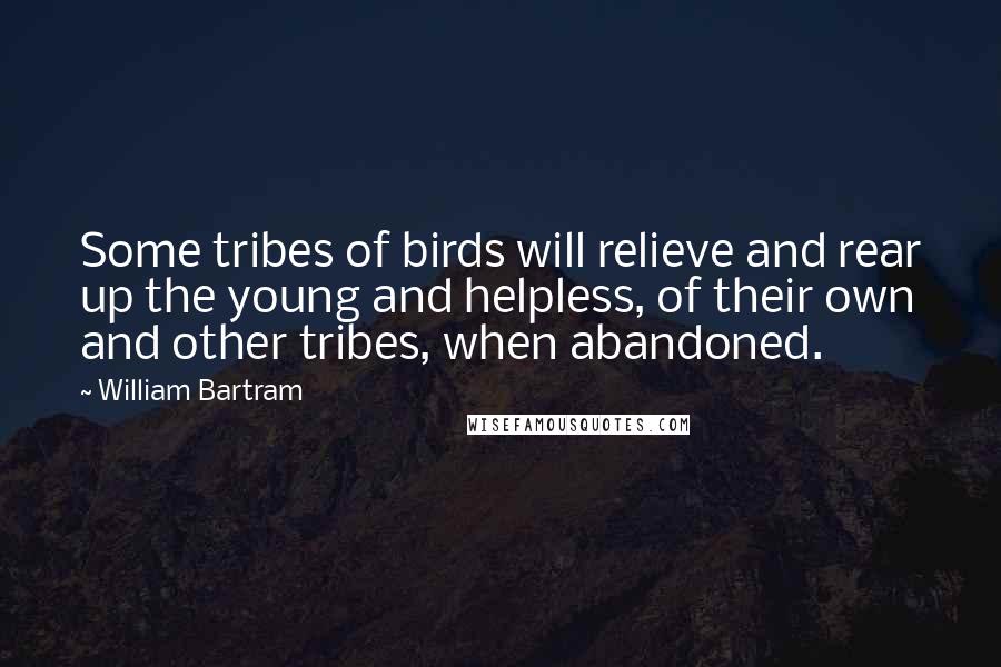 William Bartram quotes: Some tribes of birds will relieve and rear up the young and helpless, of their own and other tribes, when abandoned.