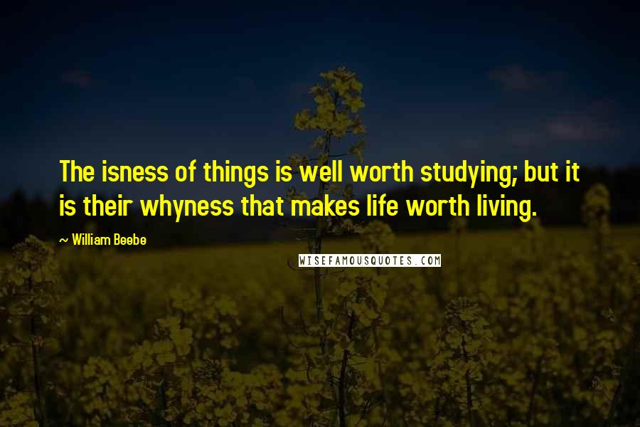 William Beebe quotes: The isness of things is well worth studying; but it is their whyness that makes life worth living.