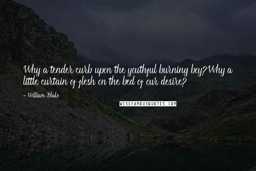 William Blake quotes: Why a tender curb upon the youthful burning boy?Why a little curtain of flesh on the bed of our desire?