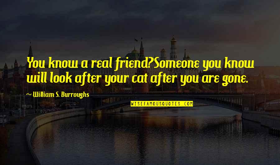 William Burroughs Cat Quotes By William S. Burroughs: You know a real friend?Someone you know will