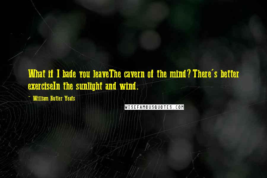 William Butler Yeats quotes: What if I bade you leaveThe cavern of the mind?There's better exerciseIn the sunlight and wind.