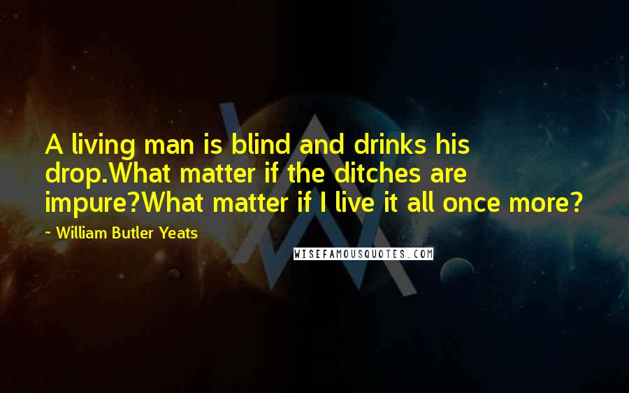 William Butler Yeats quotes: A living man is blind and drinks his drop.What matter if the ditches are impure?What matter if I live it all once more?