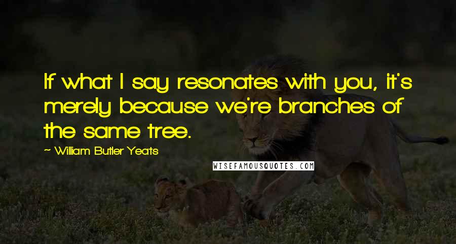 William Butler Yeats quotes: If what I say resonates with you, it's merely because we're branches of the same tree.